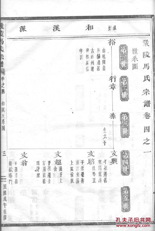 家谱 马氏宗谱严陵支 裕公 字允祥 号君光 行四 八本二十卷 16开 1789页 民国七年 1918年 版 电 d