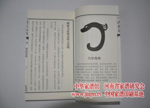 马氏家谱网 提供各省市区的马氏家谱 马氏族谱