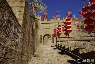 2019年图记 漫游晋陕之革命圣地杨家沟