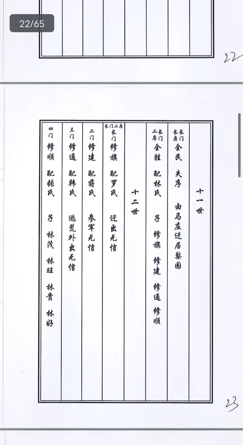2024年甲辰龙年兰考小宋镇邵岗村,梨园村分支马氏家族修序族